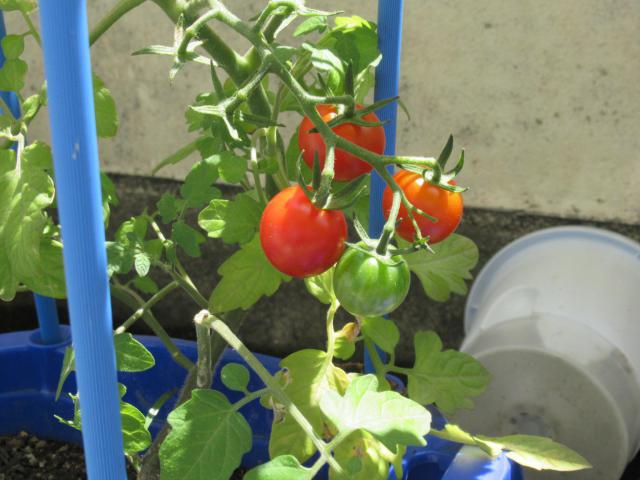 IMG_0014.JPG