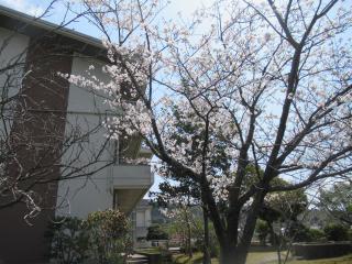 IMG_0015.JPG