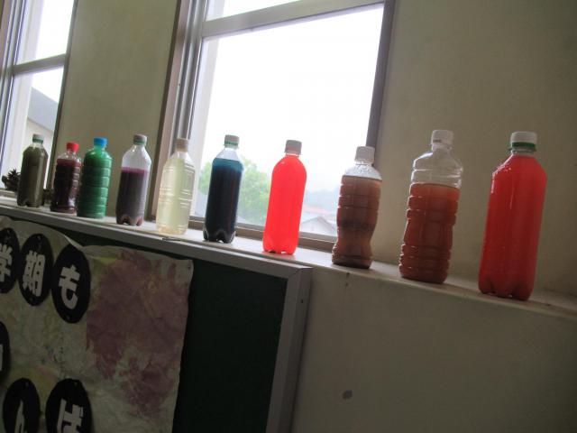 IMG_0019.JPG