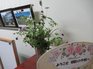 IMG_0020.JPG