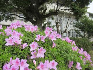 IMG_0021.JPG