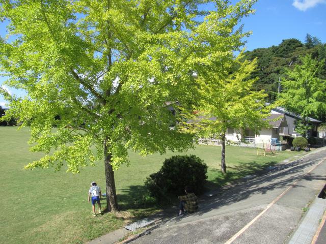 IMG_0021.JPG