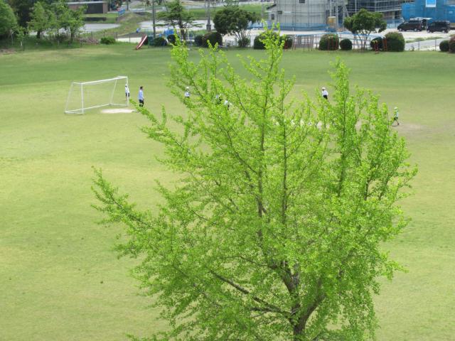 IMG_0022.JPG