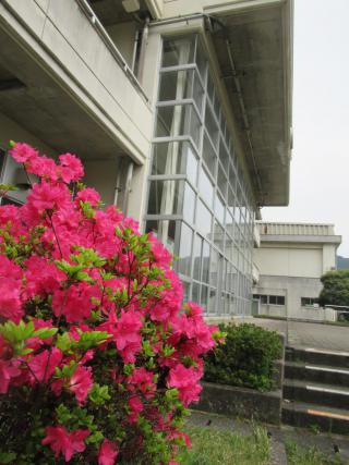 IMG_0023.JPG