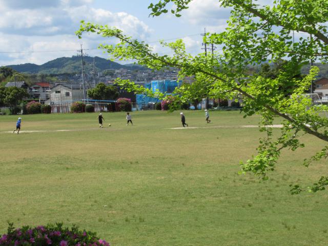 IMG_0025.JPG