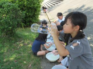 IMG_0028.JPG