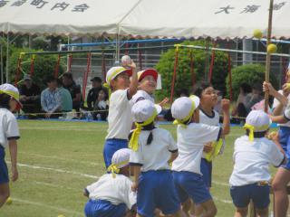 IMG_0051.JPG
