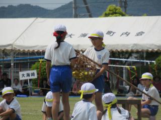 IMG_0054.JPG