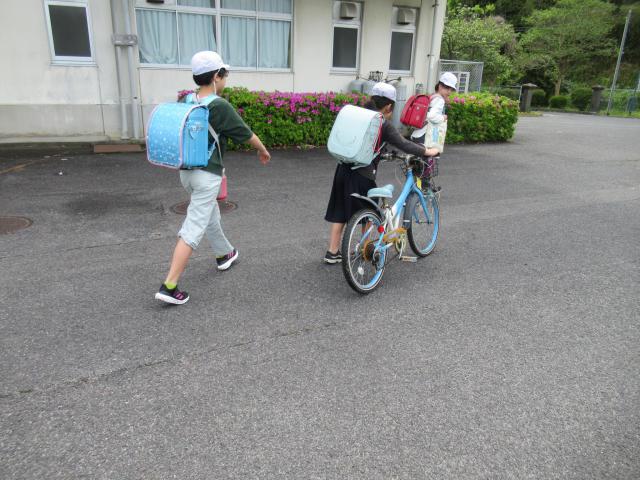 IMG_0056.JPG