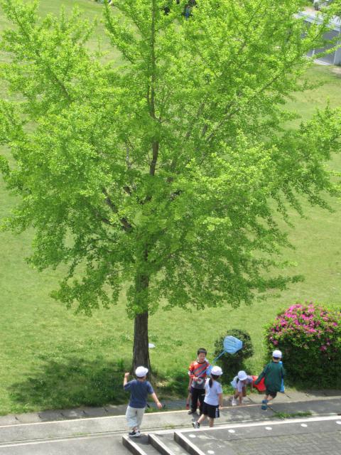 IMG_0072.JPG