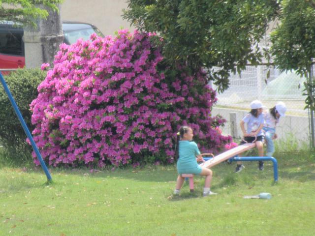 IMG_0082.JPG