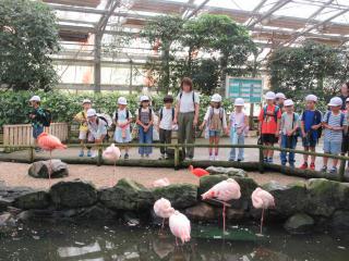 IMG_0089.JPG