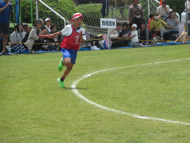 IMG_0113.JPG