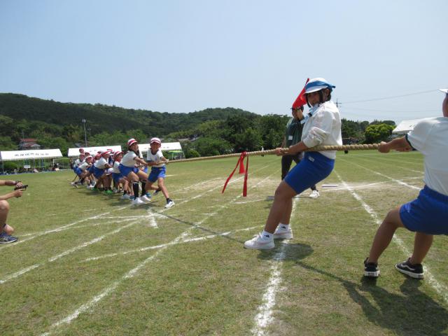 IMG_0184.JPG