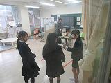 IMG_0012.jpg