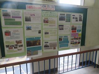 IMG_0015.jpg