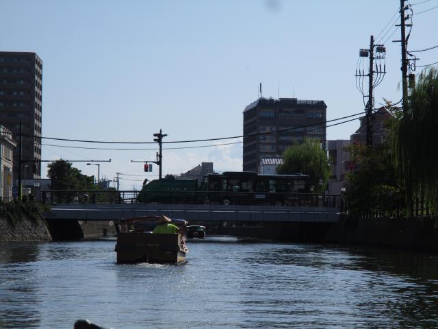 IMG_3390.JPG