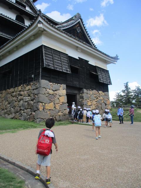 IMG_3429.JPG