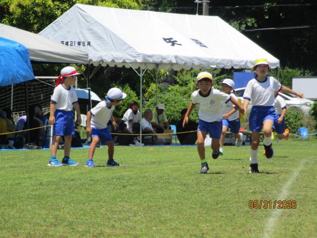 IMG_9708.JPG