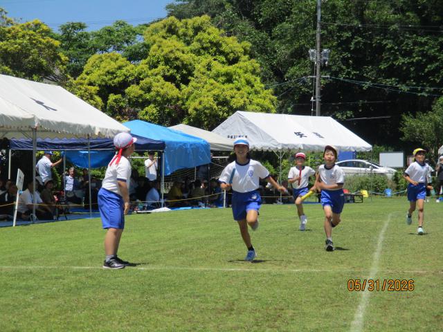 IMG_9712.JPG