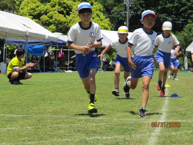 IMG_9719.JPG