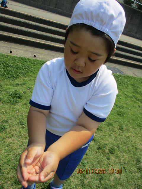 IMG_9860.JPG