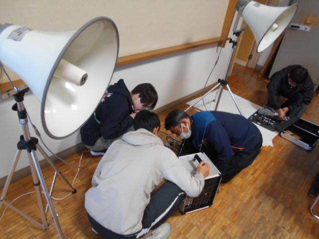 DSCN0049.JPG