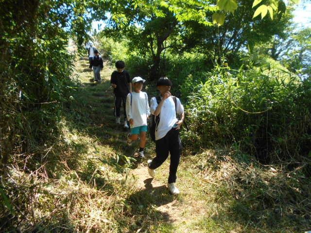 DSCN0233.JPG