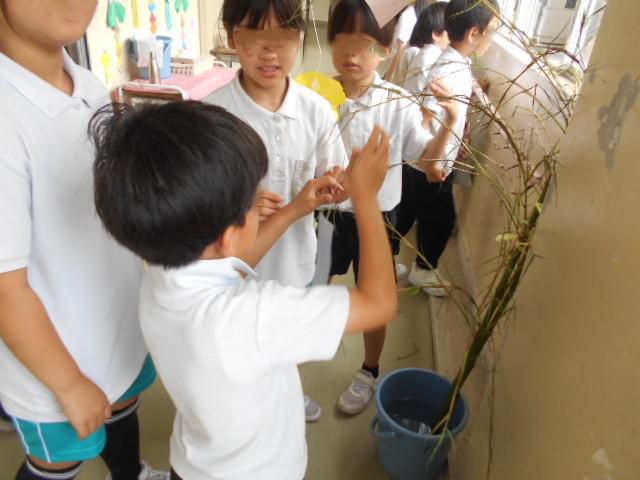 DSCN0266.JPG