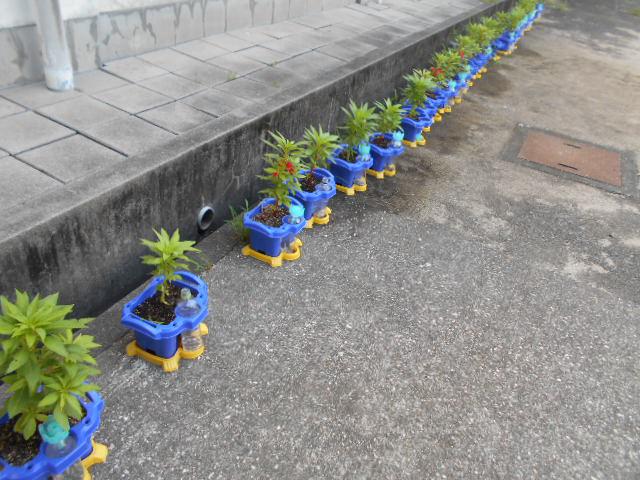DSCN0293.JPG