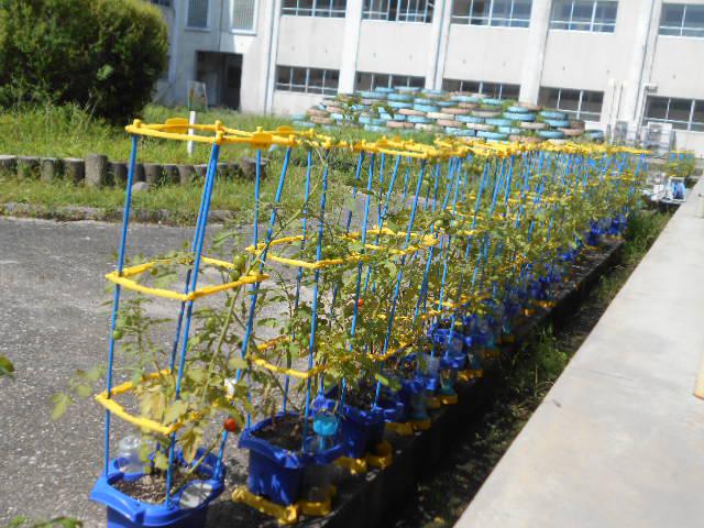 DSCN0295.JPG