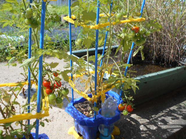DSCN0296.JPG