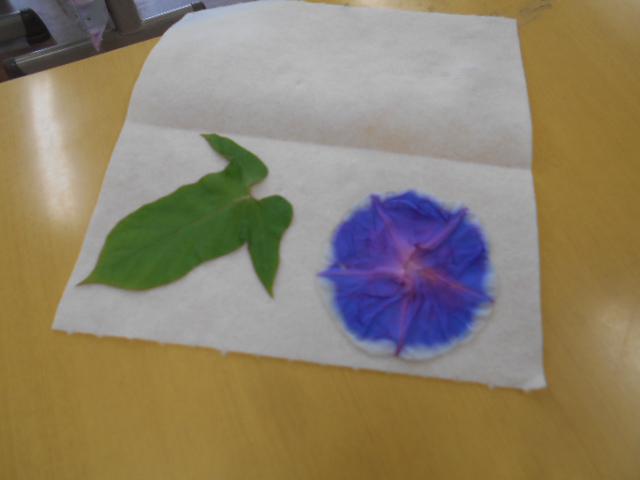 DSCN0299.JPG