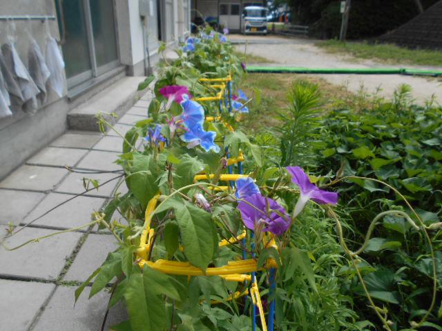 DSCN0300.JPG