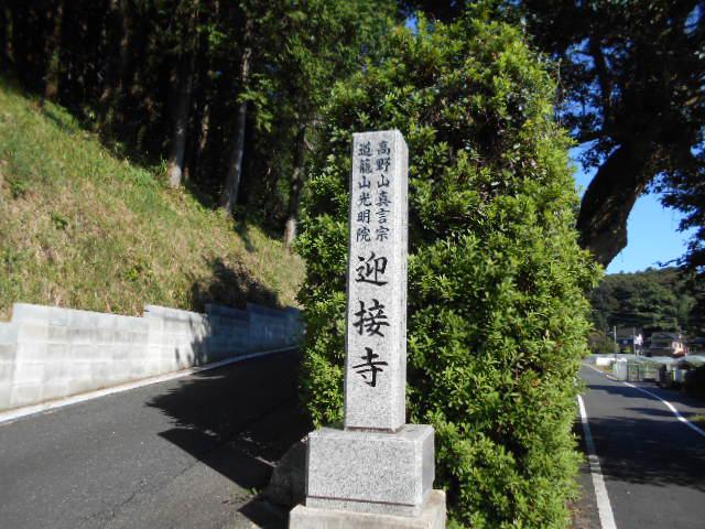 DSCN0390.JPG