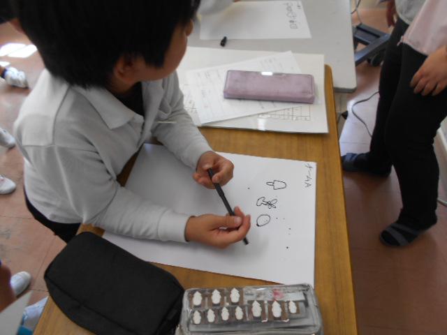 DSCN0423.JPG