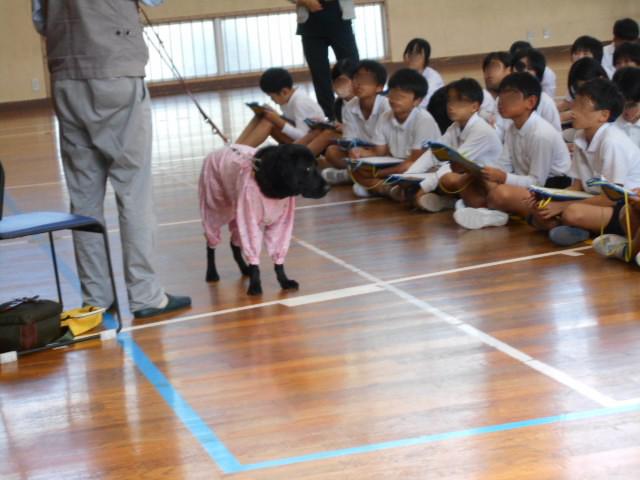 DSCN0432.JPG