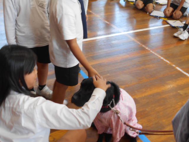 DSCN0434.JPG