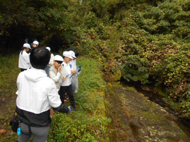 DSCN0458.JPG