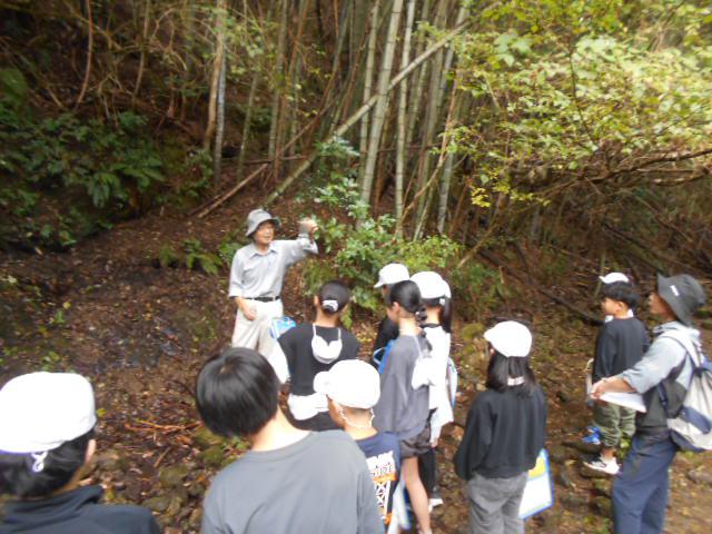 DSCN0461.JPG