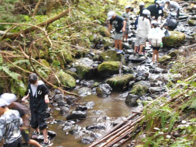 DSCN0467.JPG