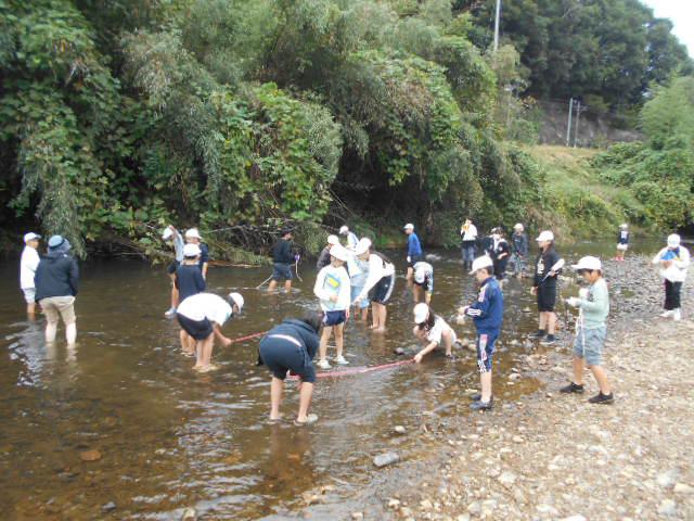 DSCN0478.JPG