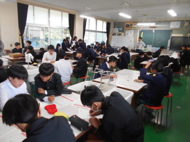 DSCN0501.JPG