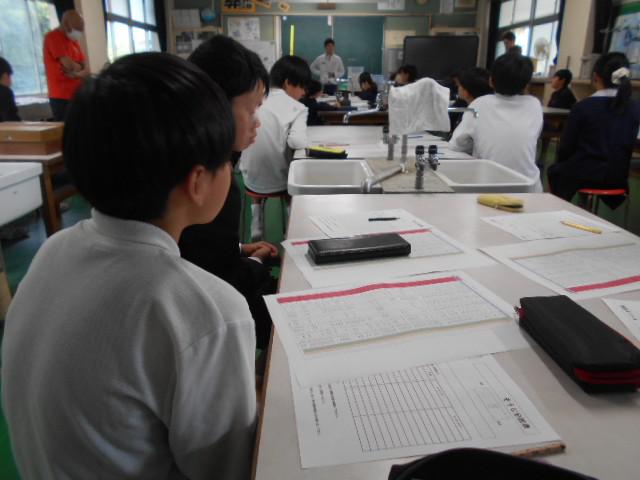 DSCN0502.JPG