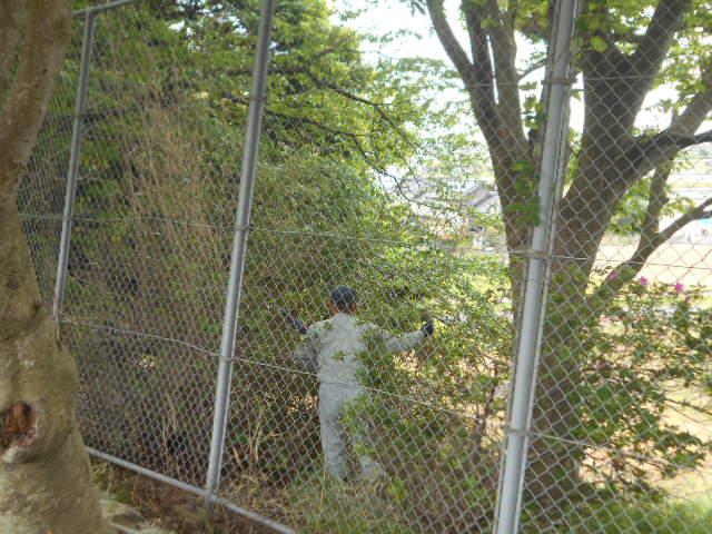 DSCN9505.JPG