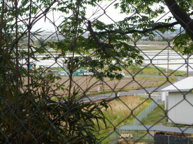 DSCN9506.JPG