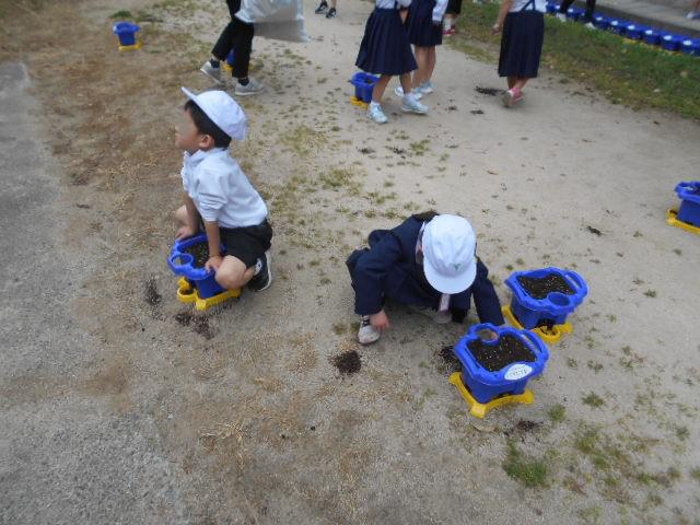 DSCN9512.JPG