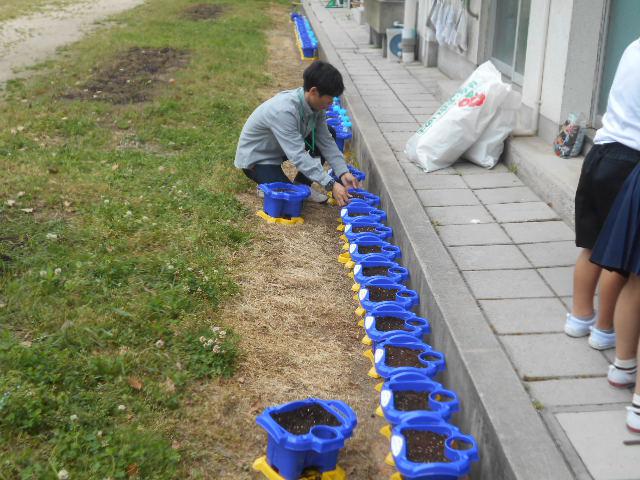 DSCN9513.JPG