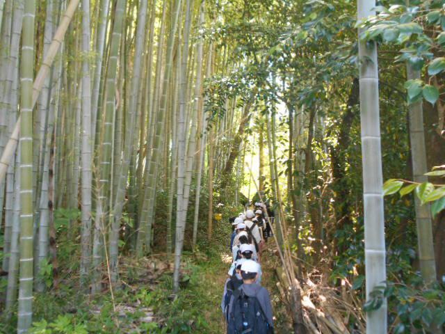 DSCN9641.JPG