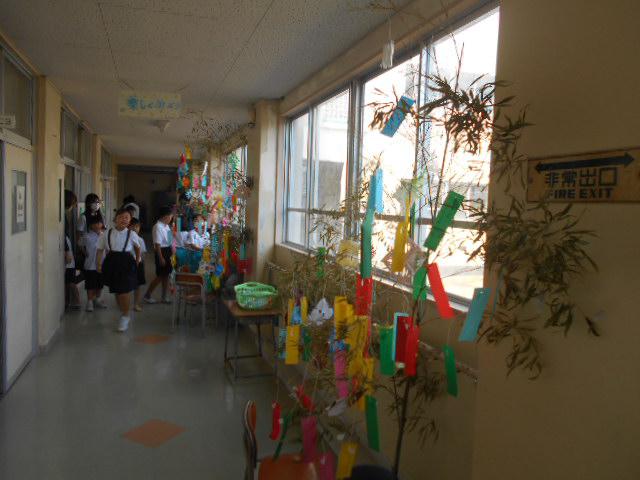 DSCN9690.JPG